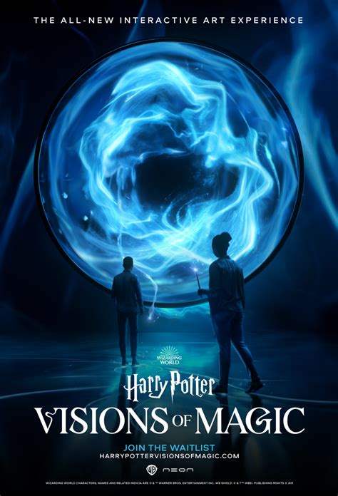 visions of magic harry potter